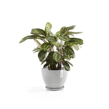 Antwerp Eco Pot White Grey 30cm - image 2