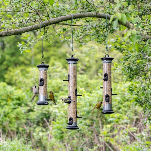 Apollo 2 Port Seed Feeder National Trust - image 1