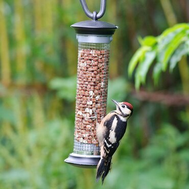 Apollo Peanut Feeder National Trust - image 2