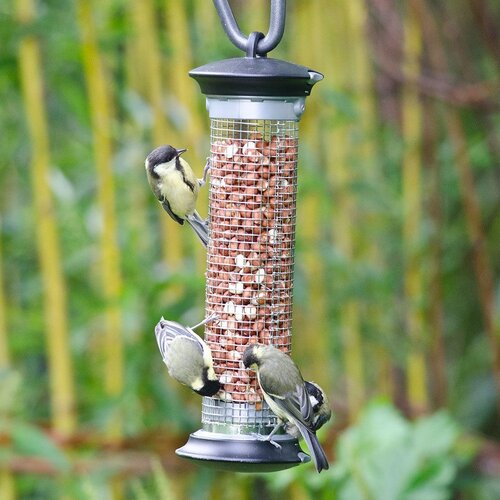 Apollo Peanut Feeder National Trust - image 4