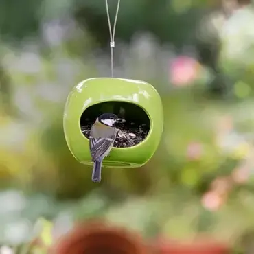 Apple Feeder Green