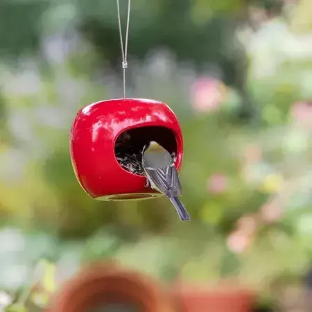 Apple Feeder Red