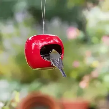 Apple Feeder Red