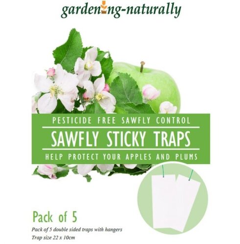 Apple Sawfly Traps Pack/5 - image 1