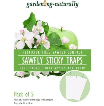 Apple Sawfly Traps Pack/5 - image 1