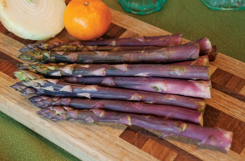 Asparagus Pacific Purple 3 Litre
