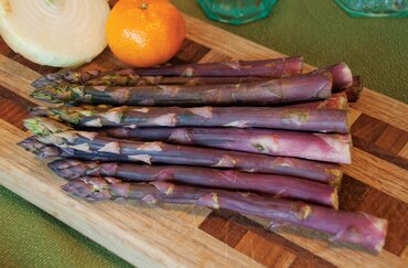 Asparagus Pacific Purple 3 Litre