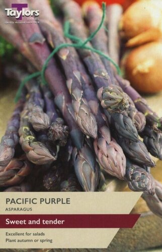 Asparagus Pacific Purple