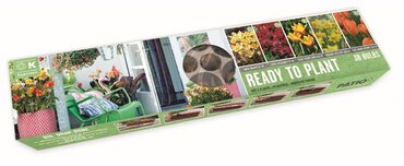 Balcon-O-Mat Tray Sunshine Mix