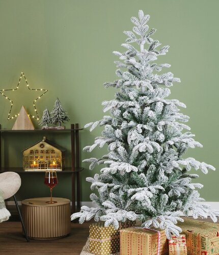 Balsamea Fir - image 1