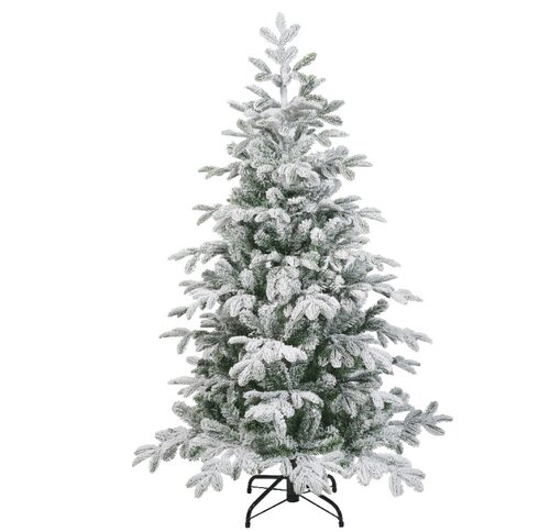 Balsamea Fir - image 2