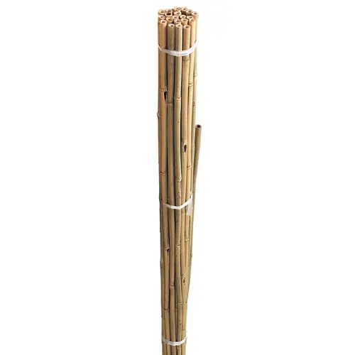 Bamboo Canes 1.5m 20 Pack - image 1