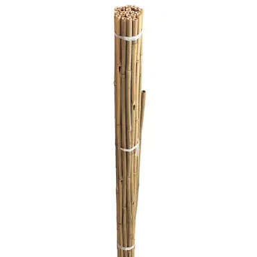 Bamboo Canes 2.4m 10 Pack - image 1