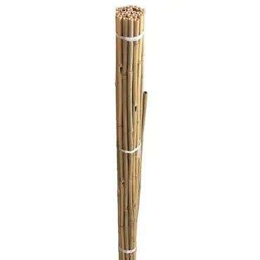 Bamboo Canes 4ft (1.2m) 20 Pack - image 1