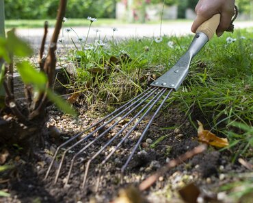 Bamboo Hand Rake - image 1