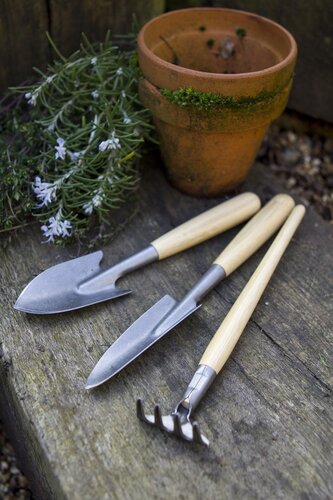 Bamboo Mini Essential Tools - image 1