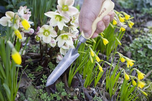 Bamboo Rockery Trowel - image 2