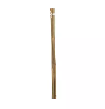 Bamboo Stakes 240cm x 5