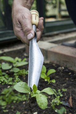 Bamboo Weeding & Seeding Trowel - image 1