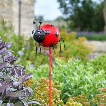 Barmy Stakes Big Bugs - image 2