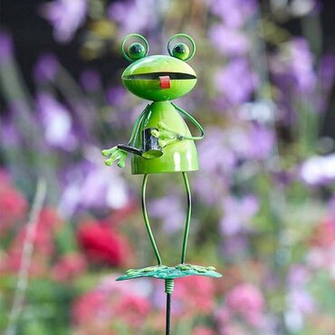 Barmy Stakes Frog - image 2