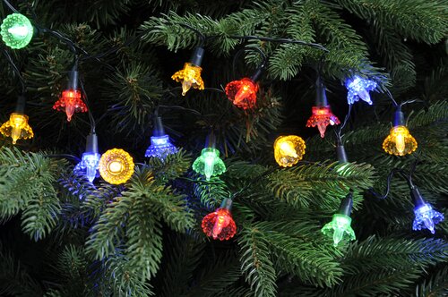 Battery Flower Lights x20 (Multi)
