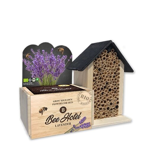 Bee Hotel with Organic Lavender Seeds