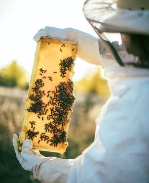 Bee talk from Robin Oliver