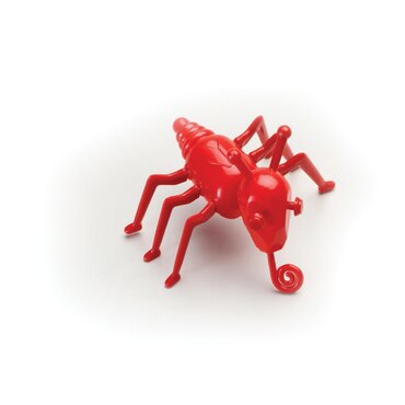 Beetle Game - image 3