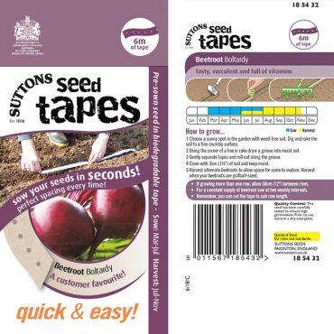 Beetroot Boltardy Seed Tape - image 3