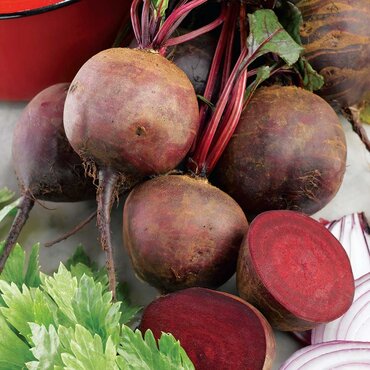 Beetroot Boltardy Seed Tape - image 1
