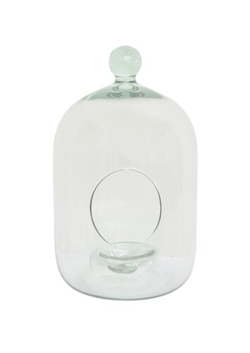 Bell Jar Terrarium 26cm