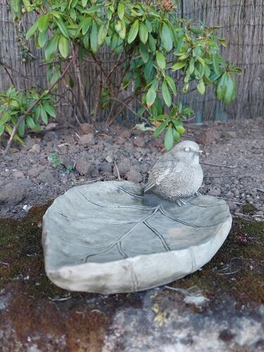 Bird Bath Bird On Leaf - image 1