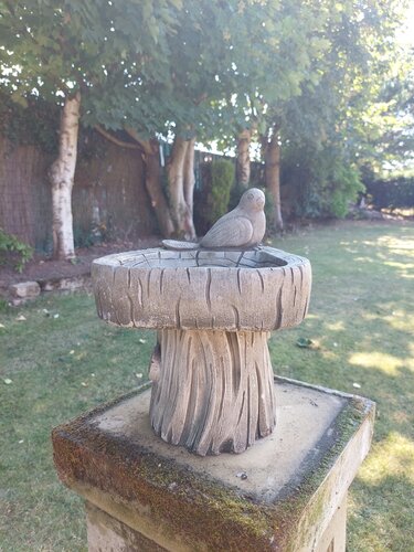 Bird Bath Bird On Log - image 1