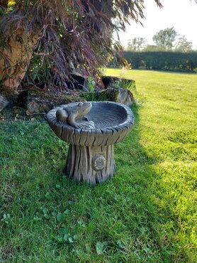Bird Bath Frog On Log - image 1