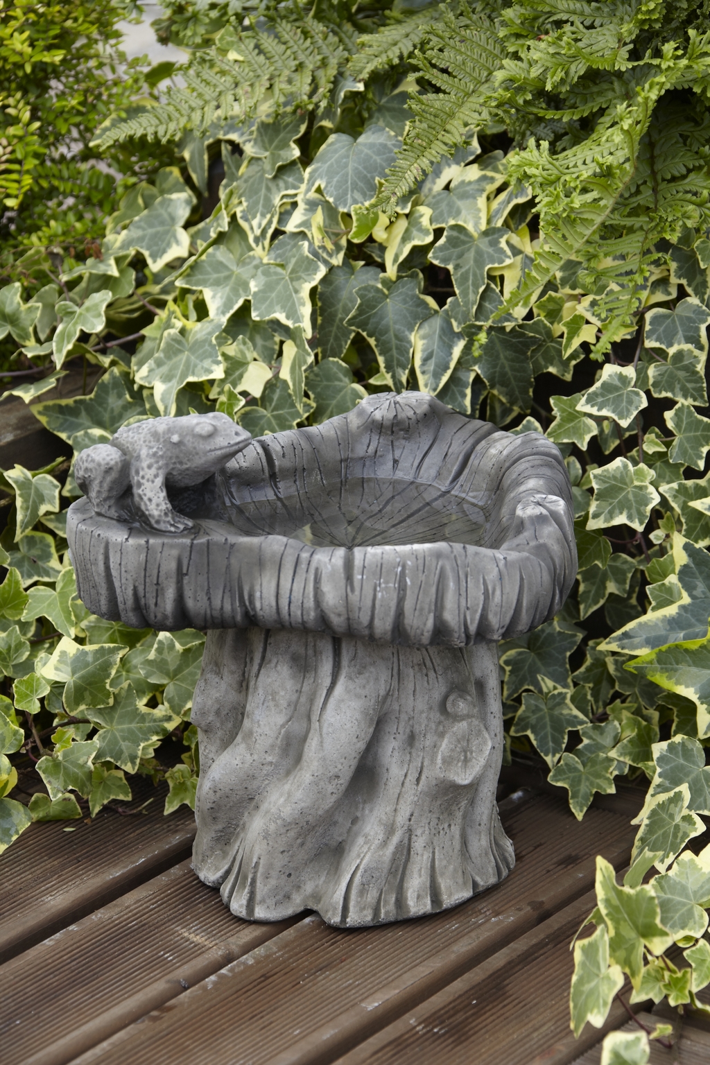 Bird Bath Frog Woodland 30cm Stewarts Garden Centre