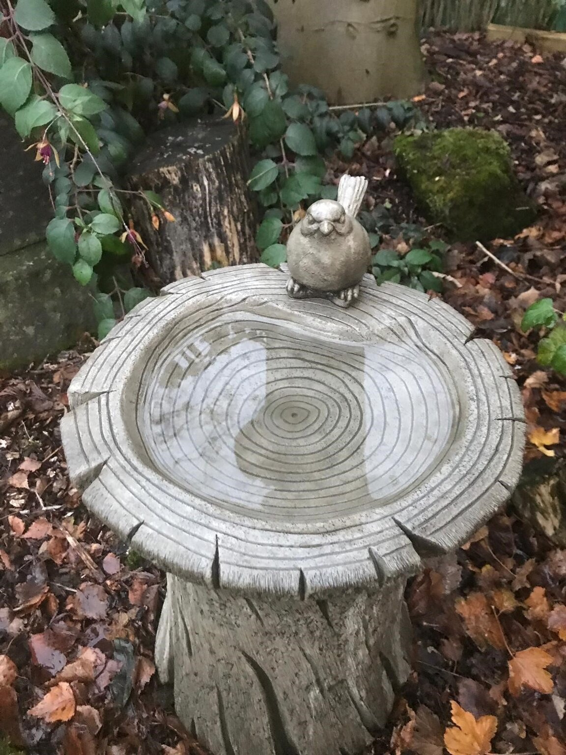 Bird Bath Medium Woodland Stewarts Garden Centre