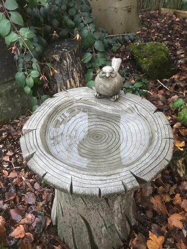 Bird Bath Medium Woodland - image 1