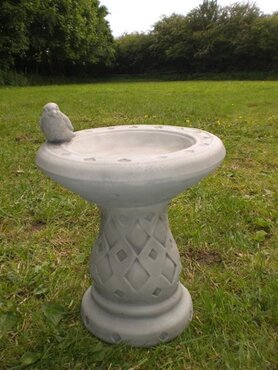 Bird Bath Small Wren - image 1