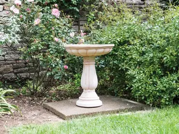 Bird Bath Terracotta