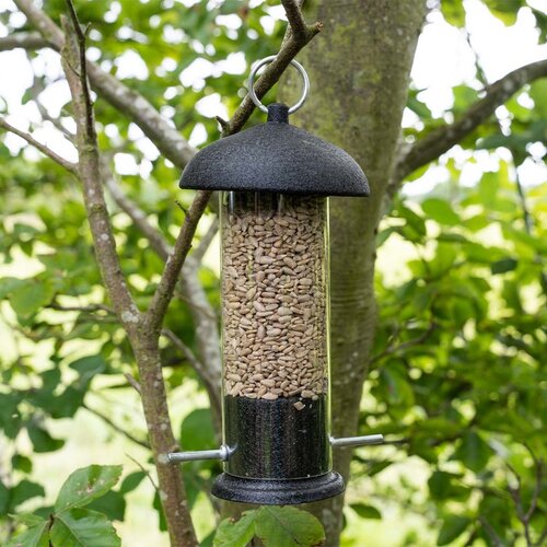 Bird Black Steel Sunflower Hearts Feeder - image 2