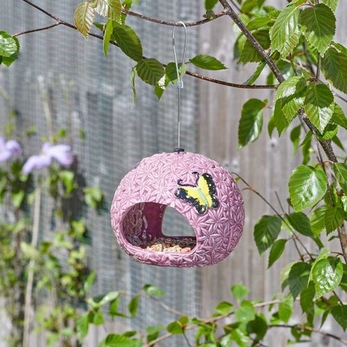 Bird Feeder Allium Fly-Through