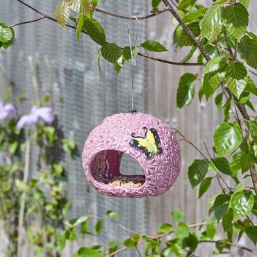 Bird Feeder Allium Fly-Through