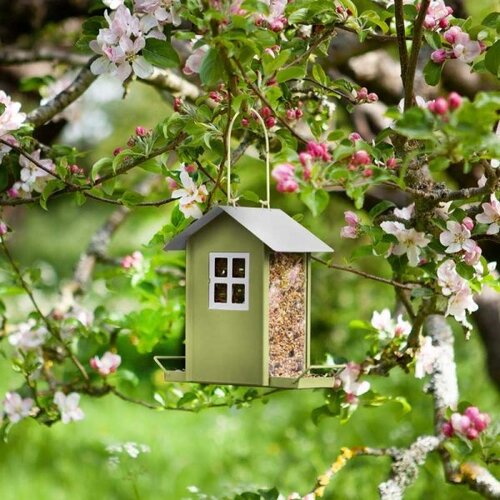 Bird Feeder Beach Hut - image 2