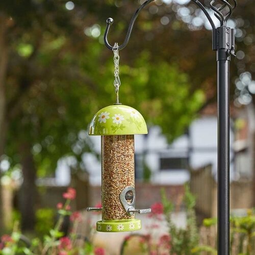 Bird Feeder Flamboya Seed Flowers - image 1