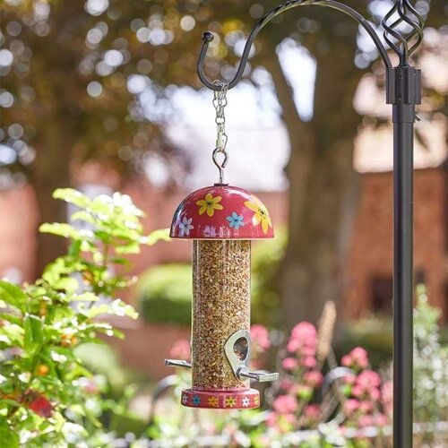 Bird Feeder Flamboya Seed Flowers - image 2