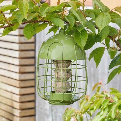 Bird Feeder Squirrel Proof Acorn Suet Ball - image 1