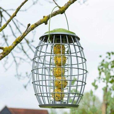 Bird Feeder Squirrel Proof Ultra Suet Ball - image 1