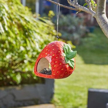 Bird Feeder Strawberry Fly-Through - image 1