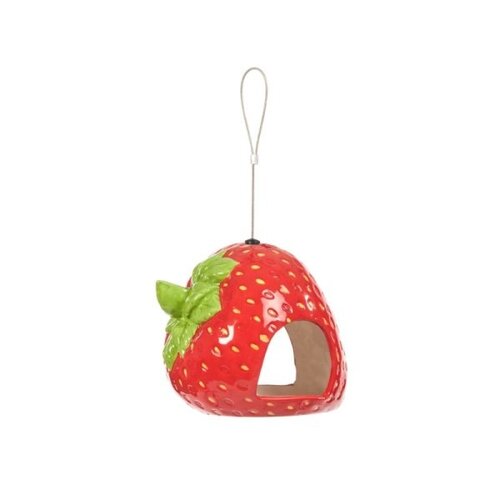 Bird Feeder Strawberry Fly-Through - image 2